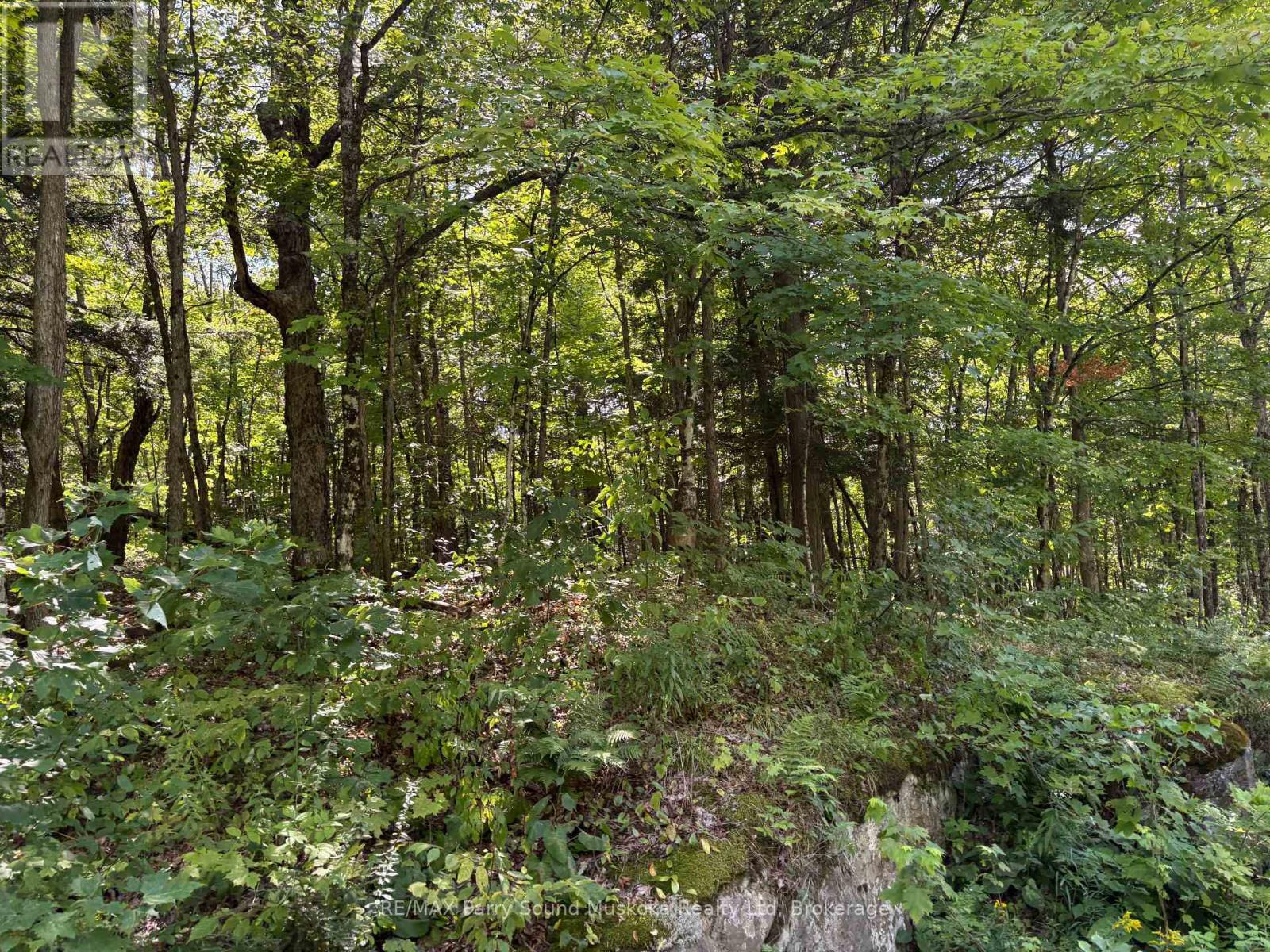 0 Ahmic Lake Road Property Photo 13