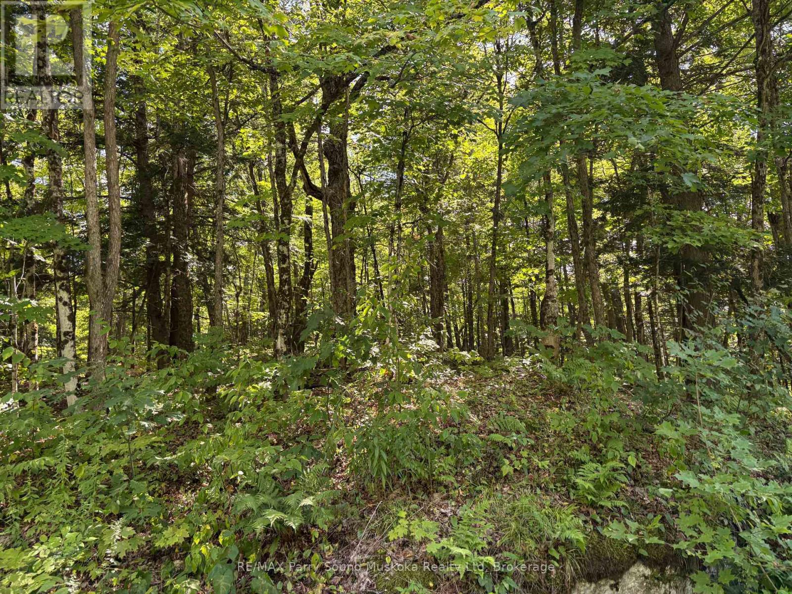0 Ahmic Lake Road Property Photo 15