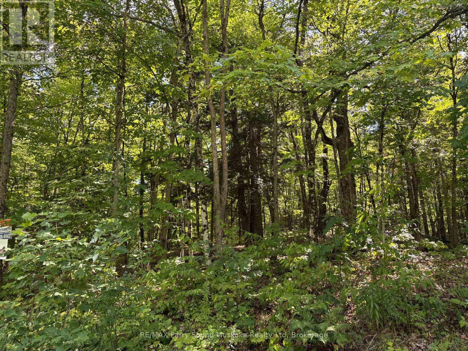 0 Ahmic Lake Road Property Photo 16