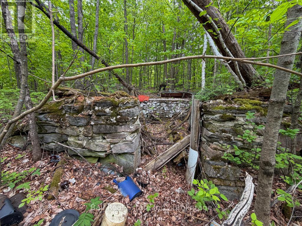 60 Scenic Road Property Photo 11