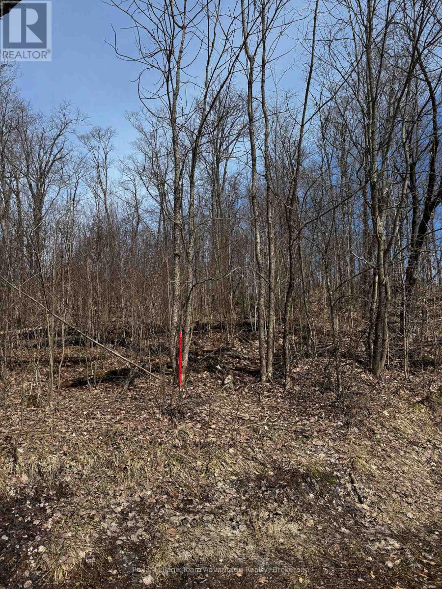 Lot 2 Lorimer Lake Road Property Photo 6
