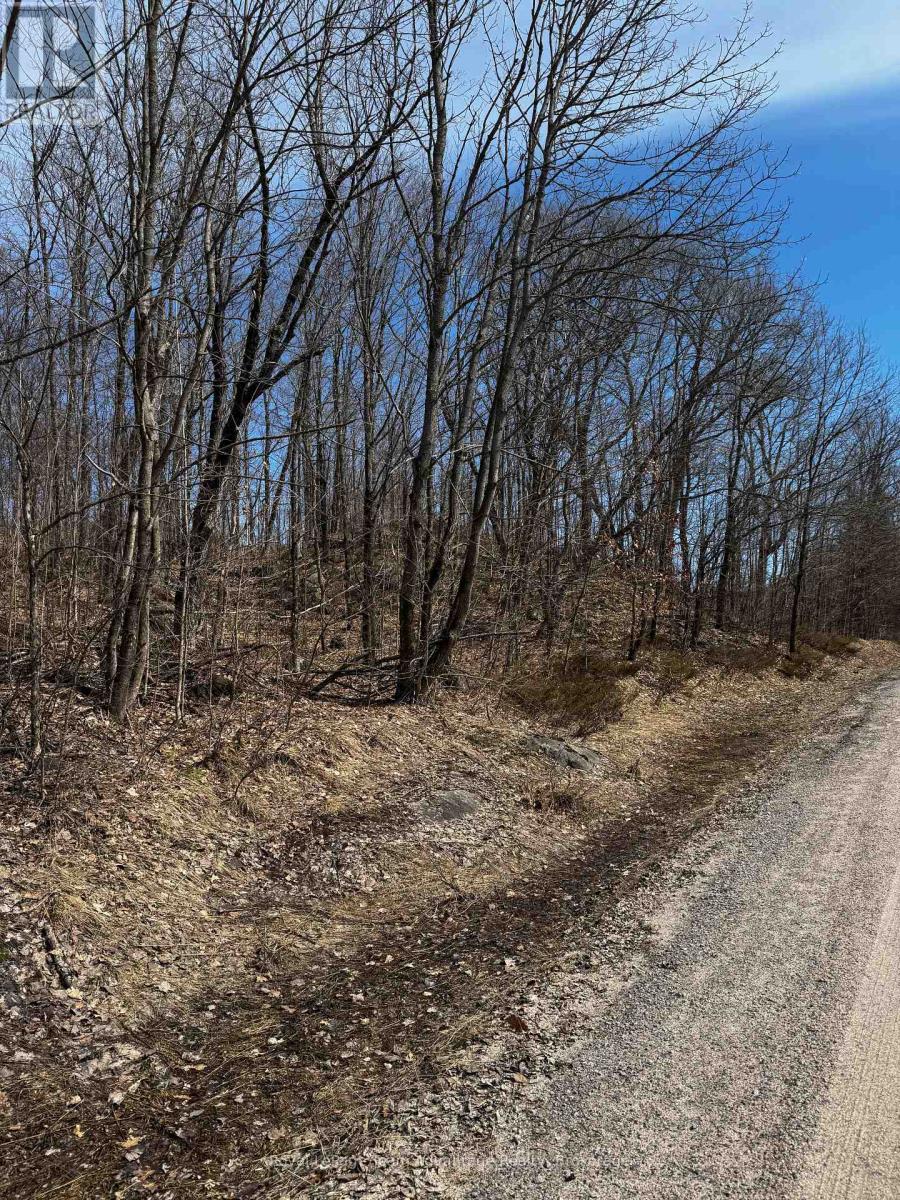 Lot 2 Lorimer Lake Road Property Photo 7
