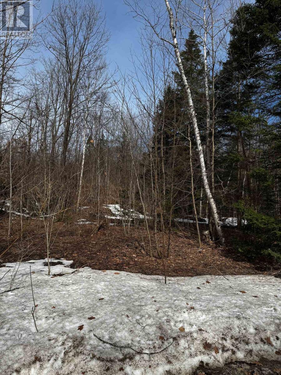 Lot 2 Lorimer Lake Road Property Photo 12