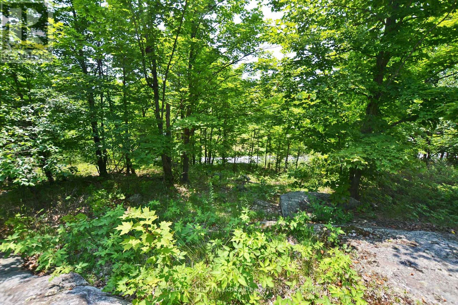 19 TURTLE LANE Property Photo 1