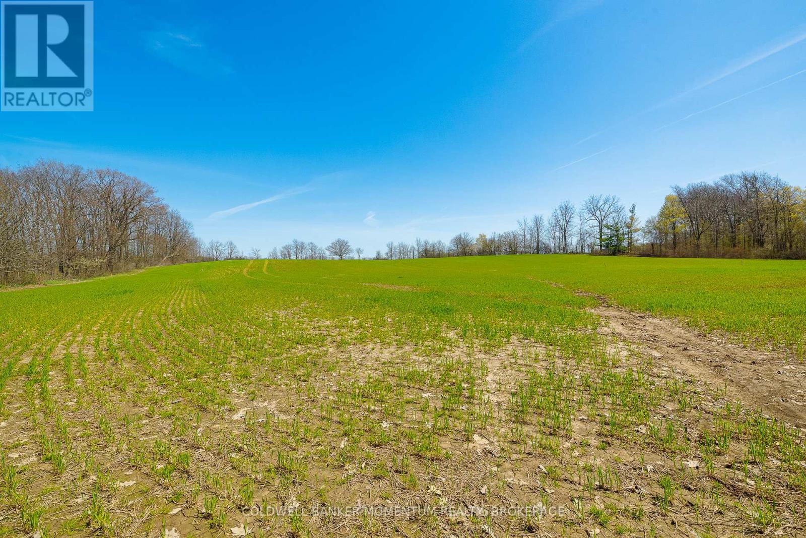 Pt Lot 7 Con 9 Tintern Road Property Photo 10