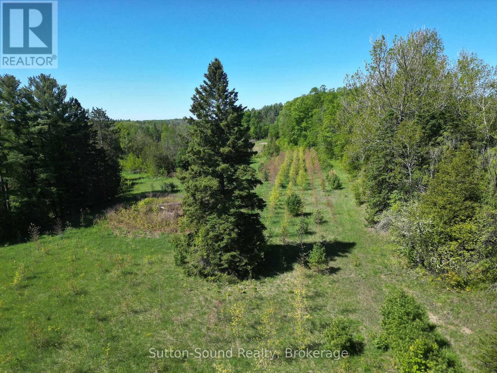 266 Rankin Bridge Road Property Photo 8