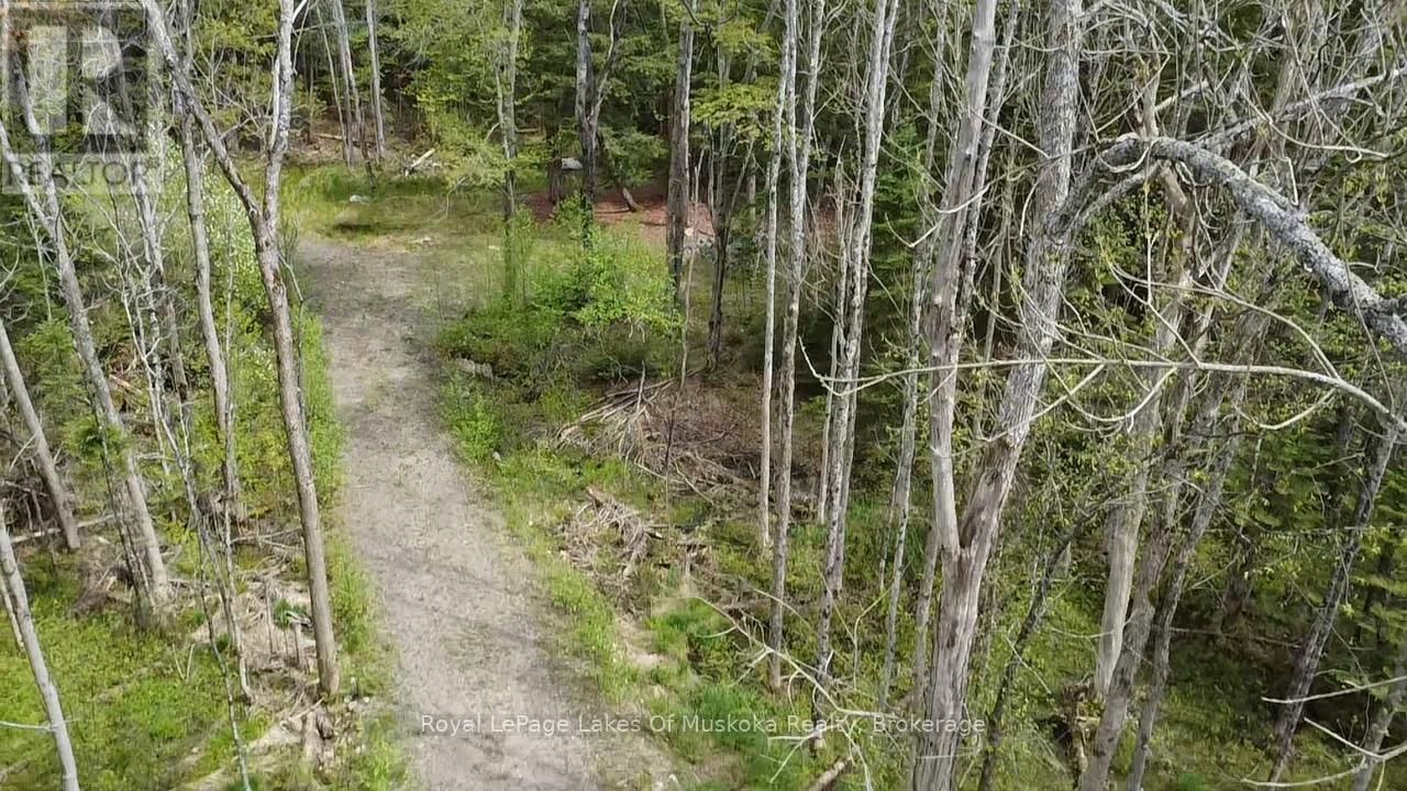 887 Star Lake Road Property Photo 5