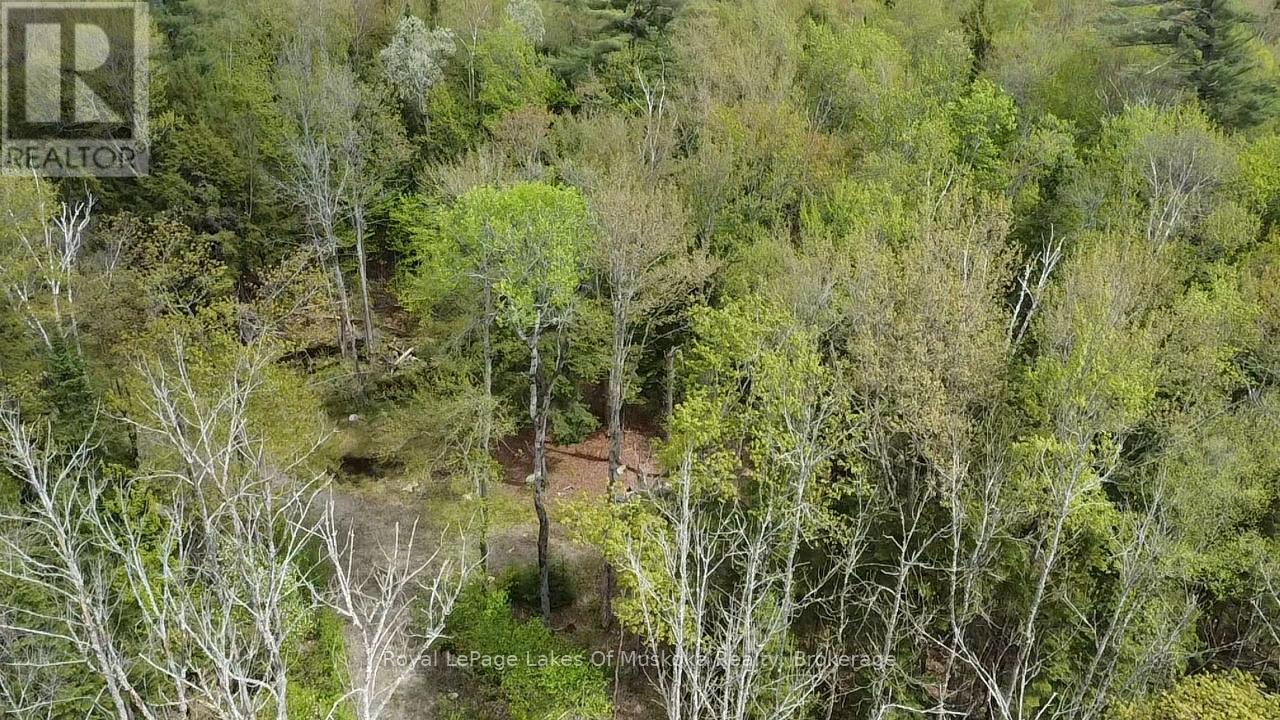 887 Star Lake Road Property Photo 6