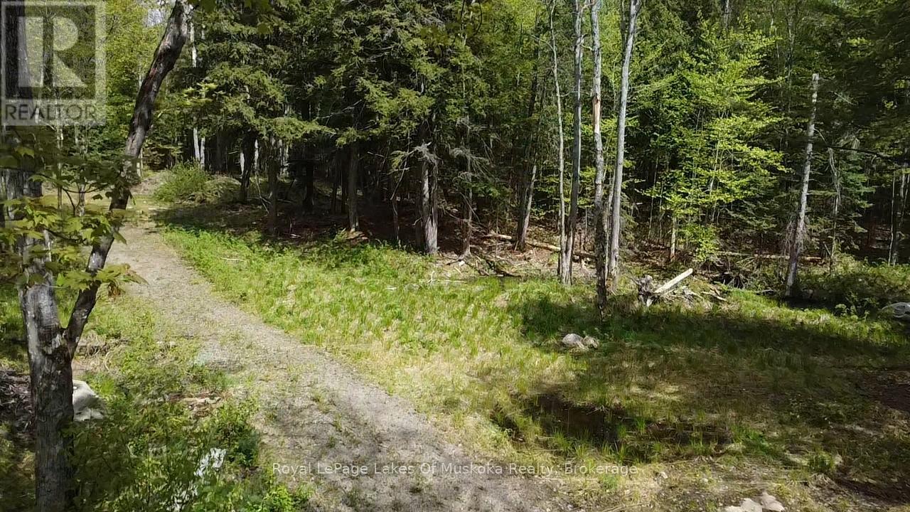 887 Star Lake Road Property Photo 7
