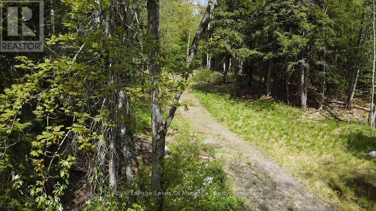 887 Star Lake Road Property Photo 8