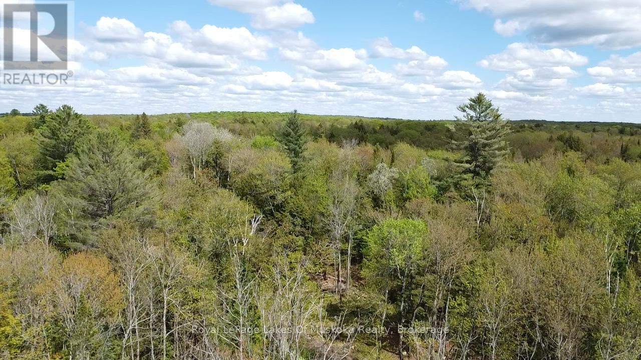 887 Star Lake Road Property Photo 11