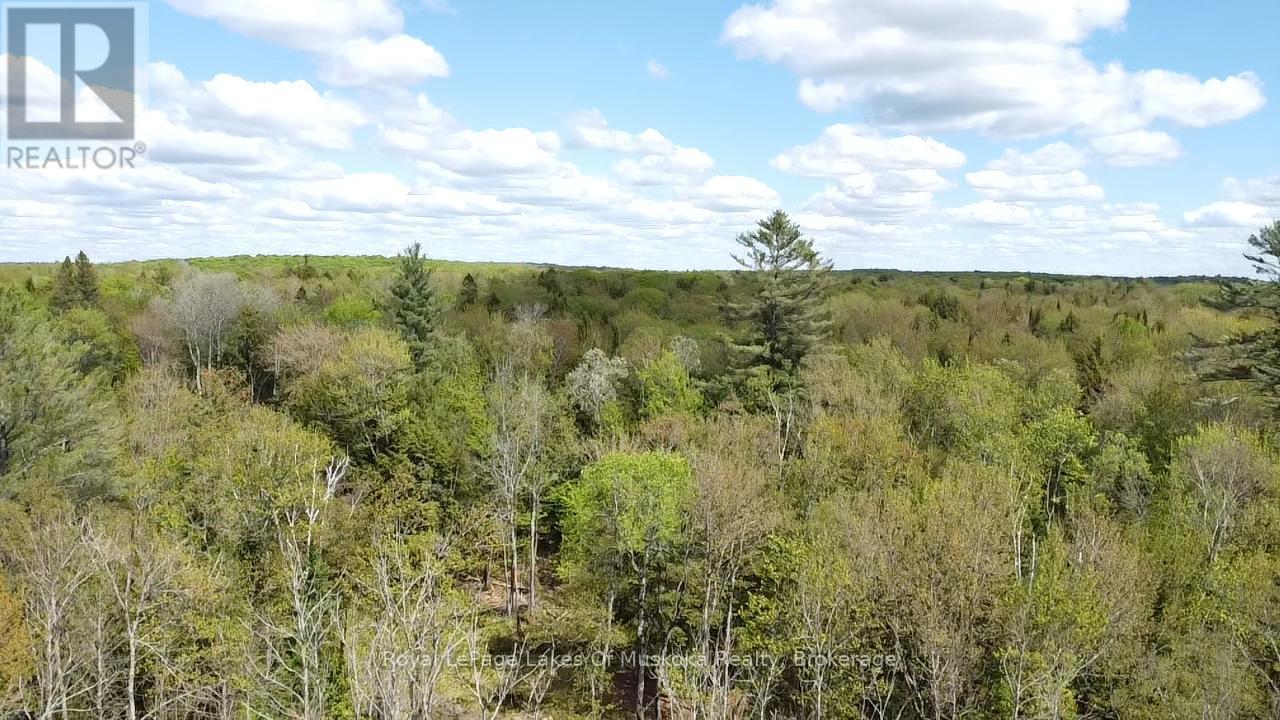 887 Star Lake Road Property Photo 12