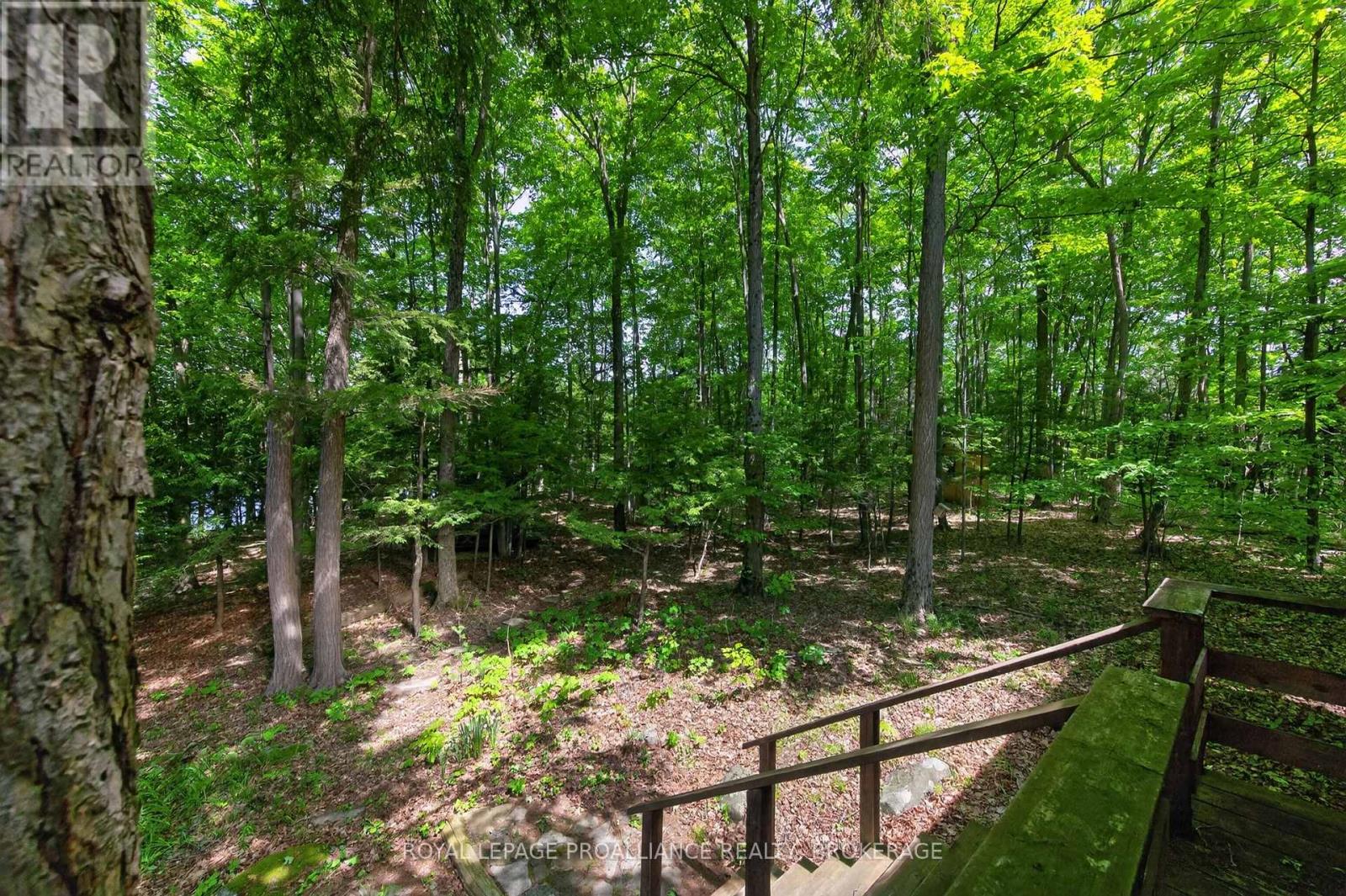 1147 Shadow Lane Property Photo 20