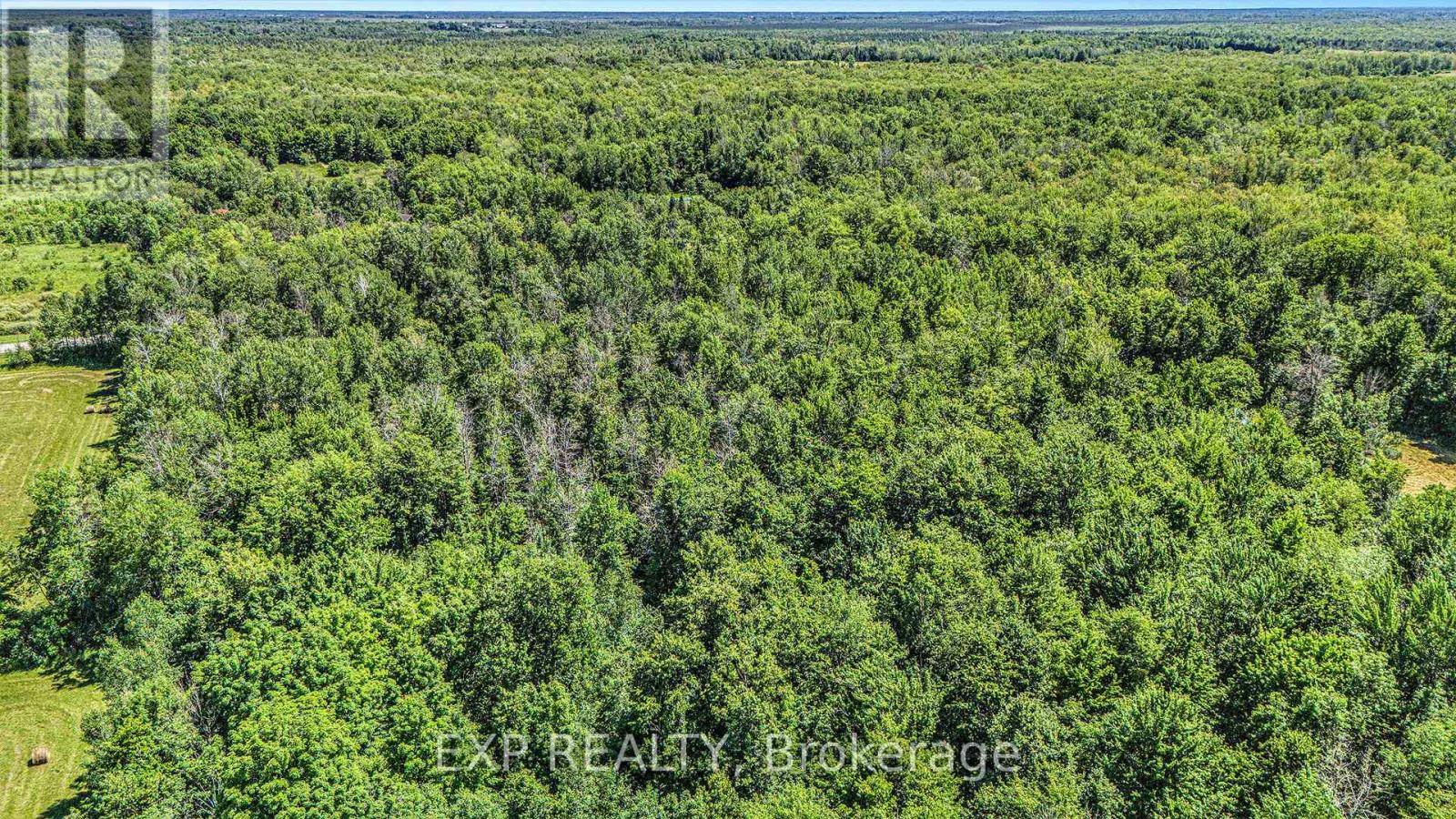 0000 Drummond Conc 7 Concession Property Photo 15