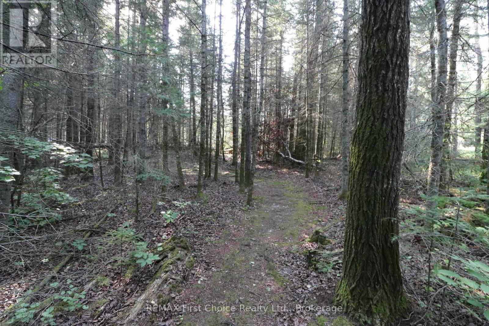 S882 Winnipeg River Property Photo 47