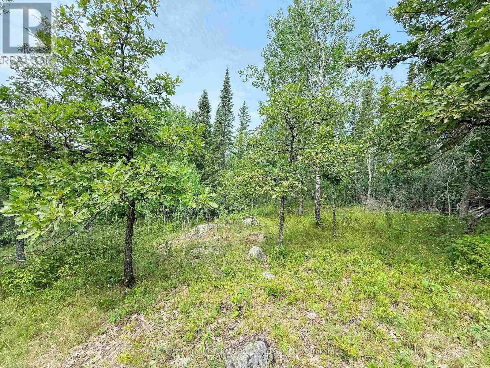 496 Coney Island Property Photo 14