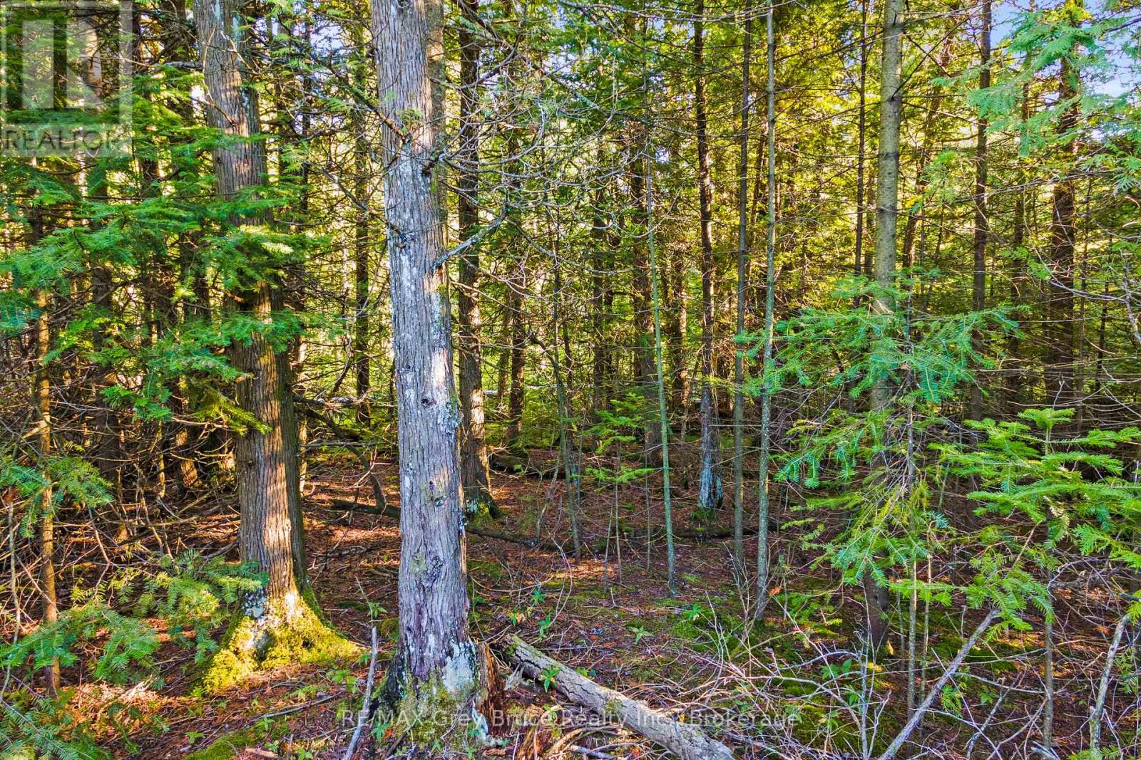 30 Huron Park Road Property Photo 18