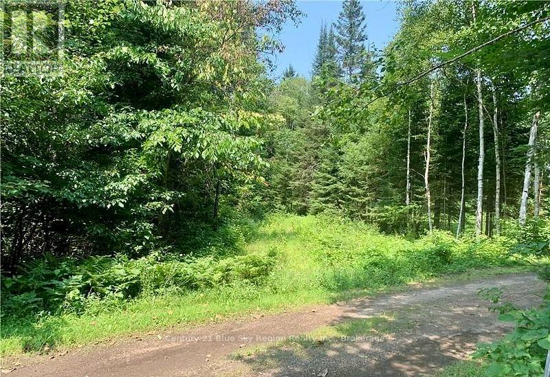 324 Proudfoot Road N Property Photo 4