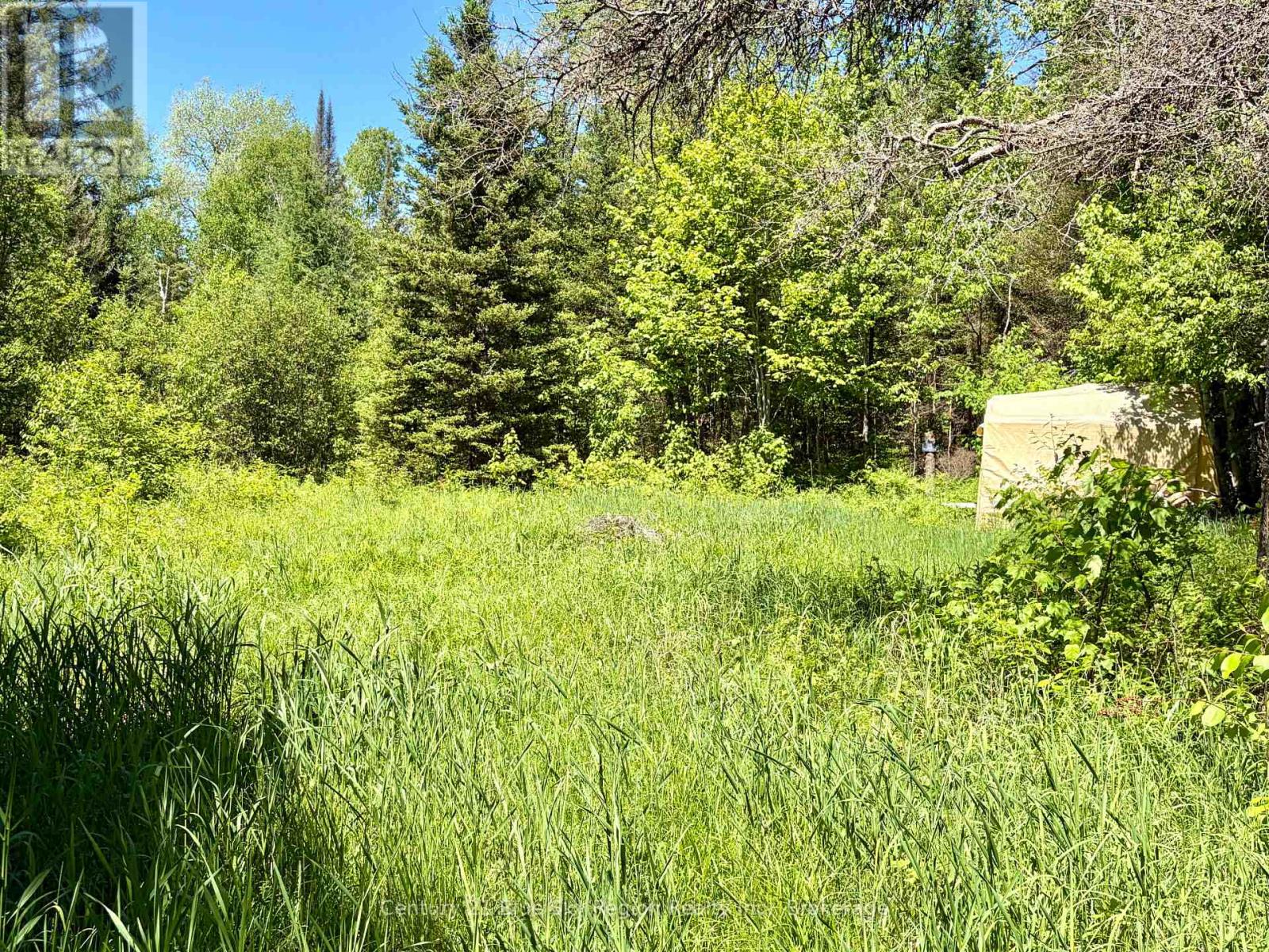 324 Proudfoot Road N Property Photo 22