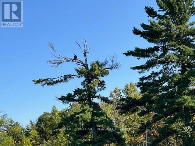 G 734 Rainy Lake Property Photo 3