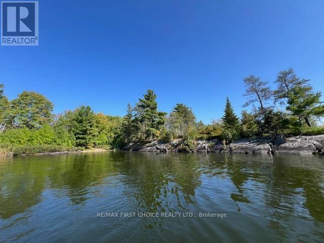 G 734 Rainy Lake Property Photo 6