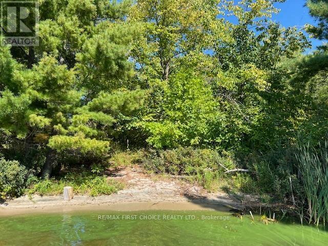 G 734 Rainy Lake Property Photo 9