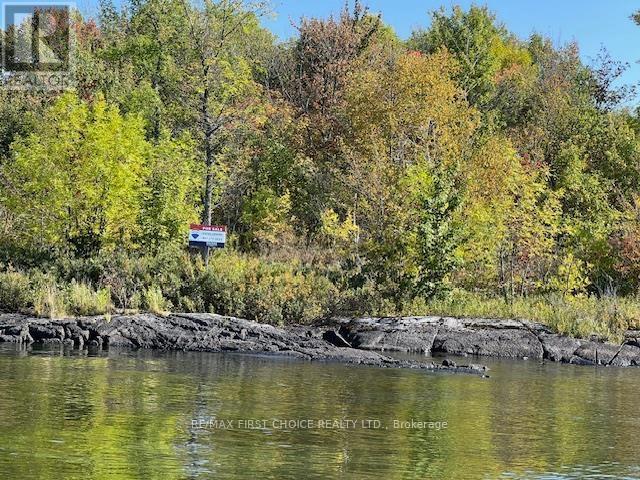 G 734 Rainy Lake Property Photo 10