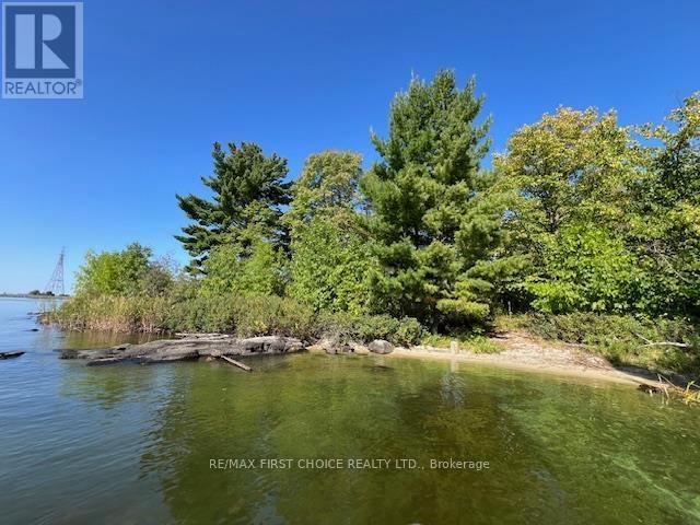 G 734 Rainy Lake Property Photo 11