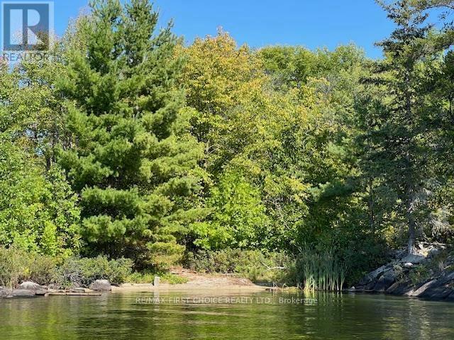 G 734 Rainy Lake Property Photo 12