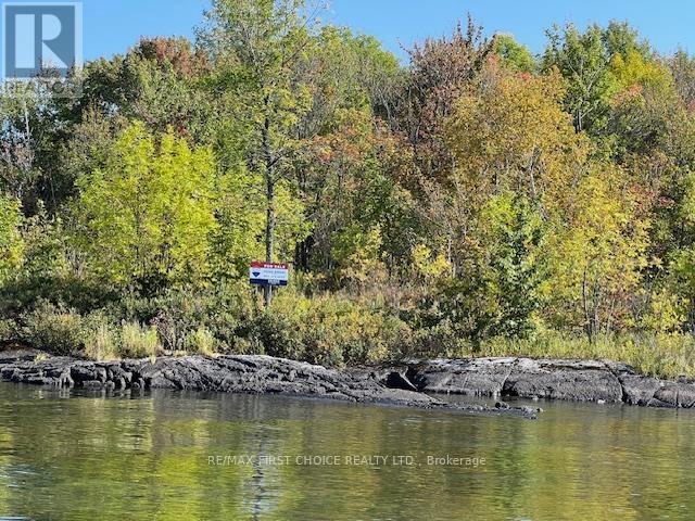 G 734 Rainy Lake Property Photo 14