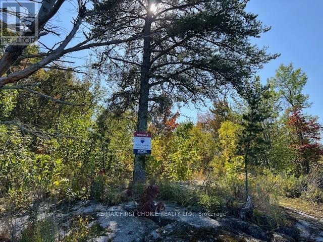 G 734 Rainy Lake Property Photo 18