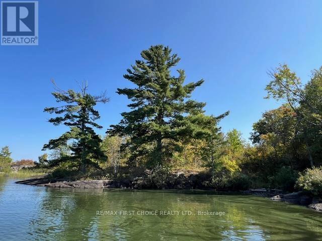 G 734 Rainy Lake Property Photo 19