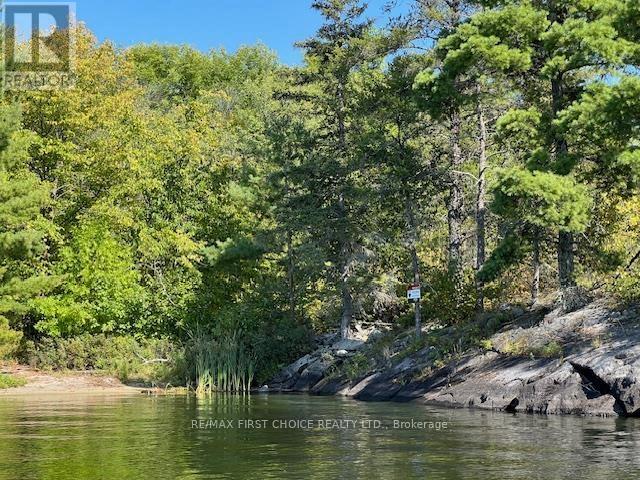 G 734 Rainy Lake Property Photo 22