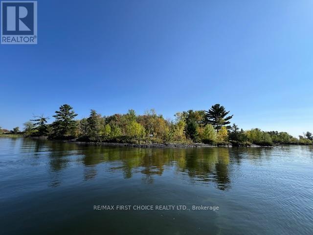 G 734 Rainy Lake Property Photo 25