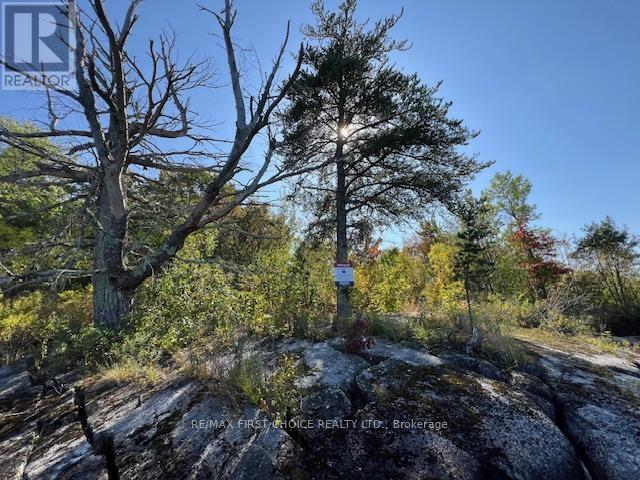 G 734 Rainy Lake Property Photo 30