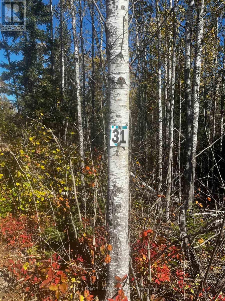 Lot 31 Grann Drive Property Photo 5