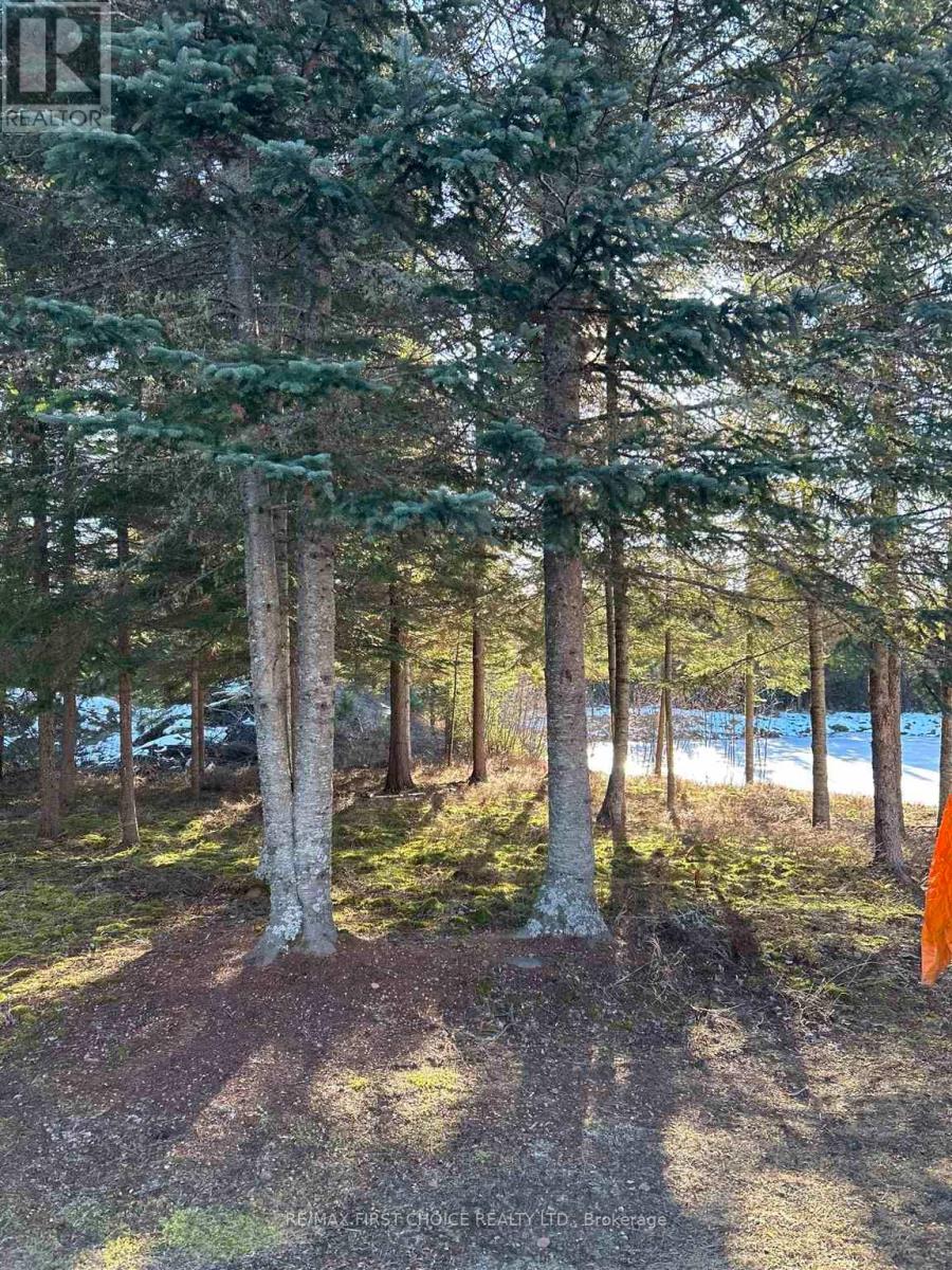 1 Bear Camp Property Photo 21