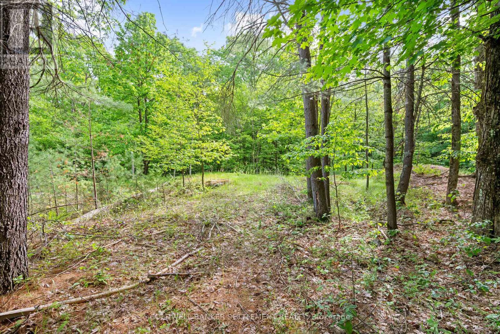 935 Mclaren Road Property Photo 8