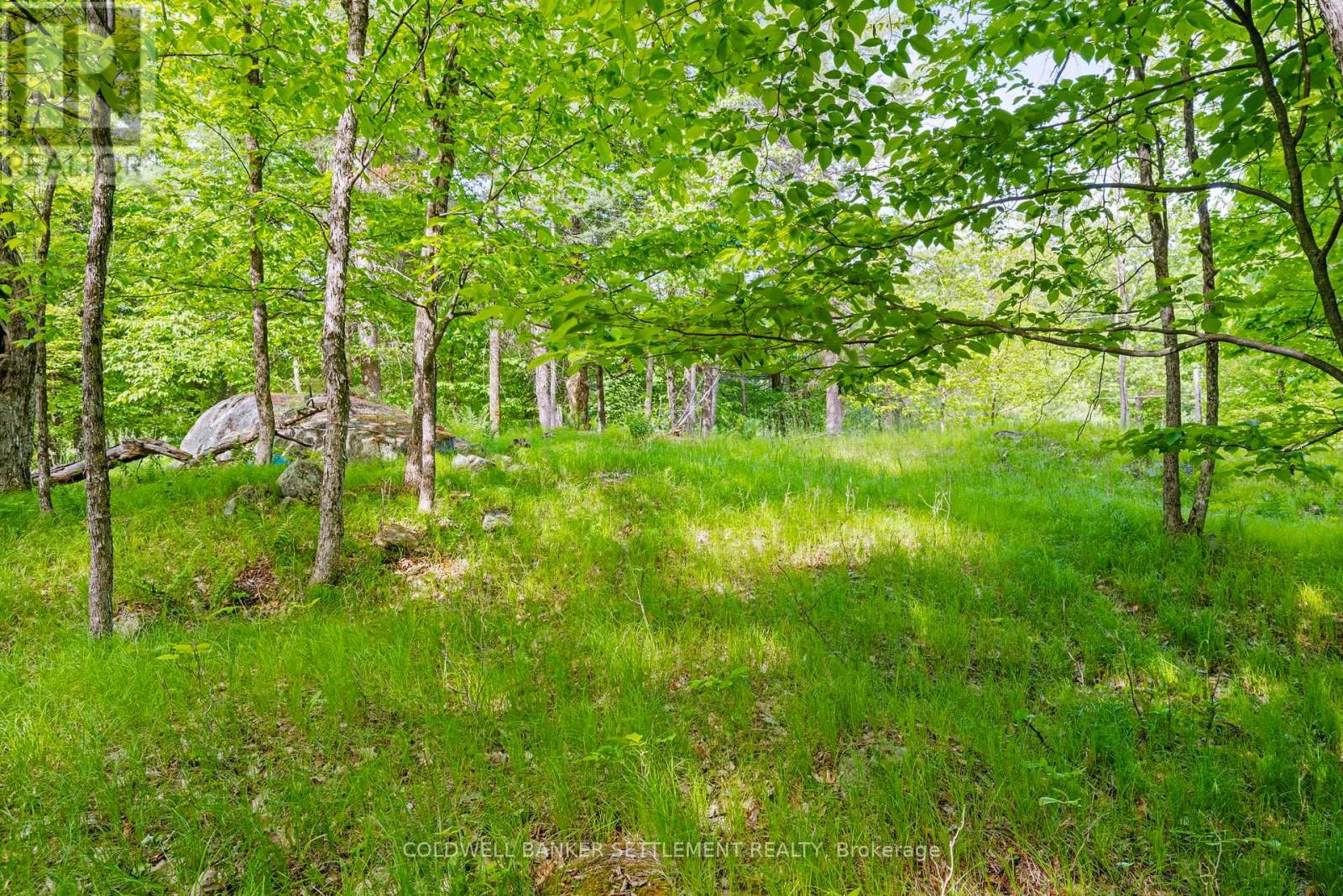 935 Mclaren Road Property Photo 13