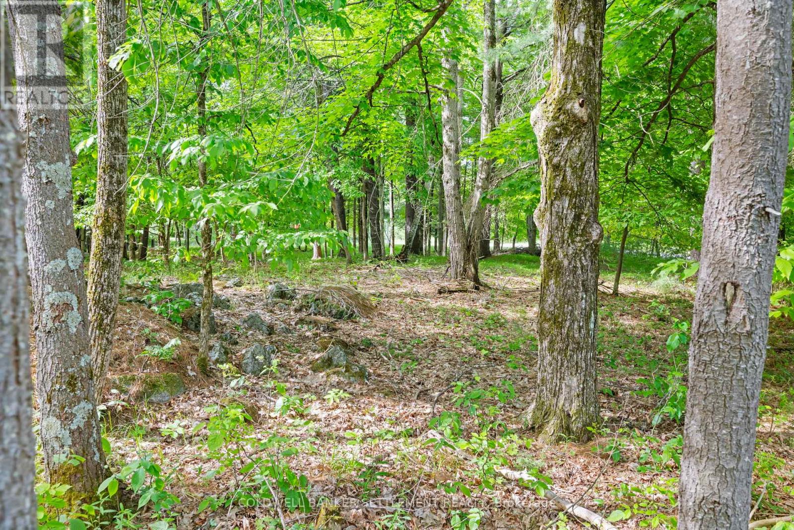 935 Mclaren Road Property Photo 14