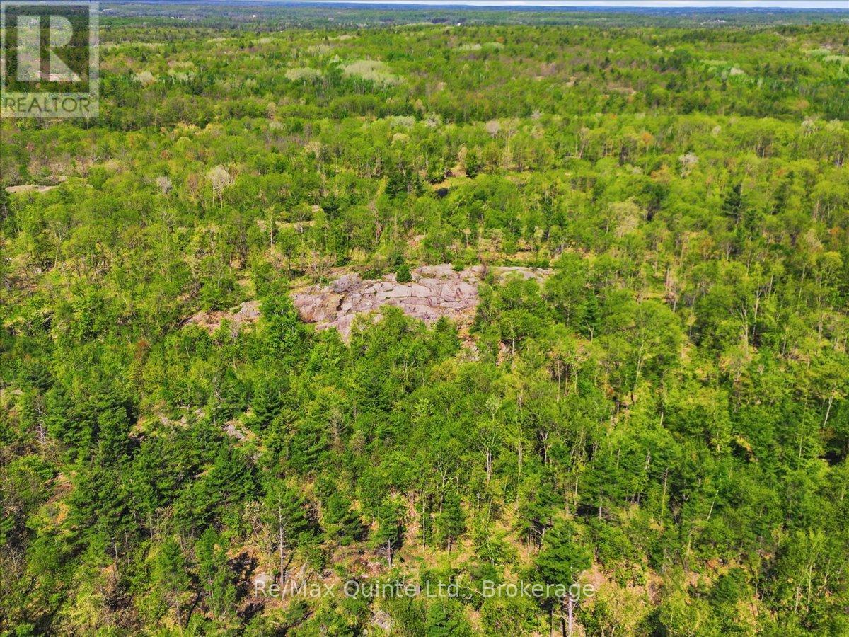 104577 Hwy 7 Highway Property Photo 6