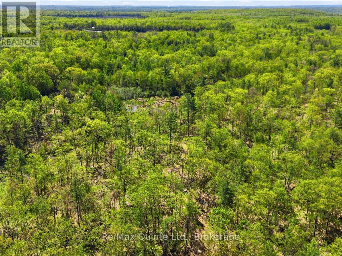 104577 Hwy 7 Highway Property Photo 8
