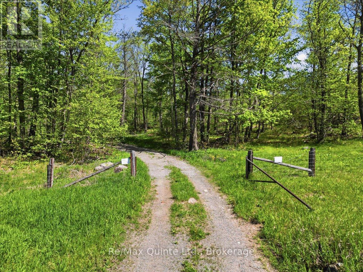 104577 Hwy 7 Highway Property Photo 9