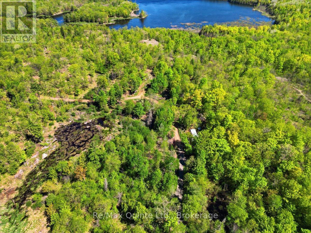 104577 Hwy 7 Highway Property Photo 11