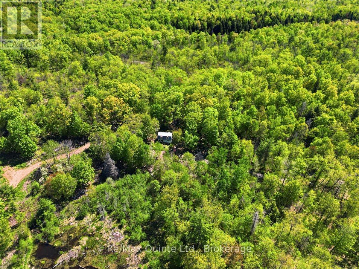 104577 Hwy 7 Highway Property Photo 12
