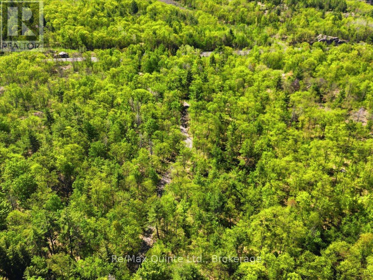 104577 Hwy 7 Highway Property Photo 13