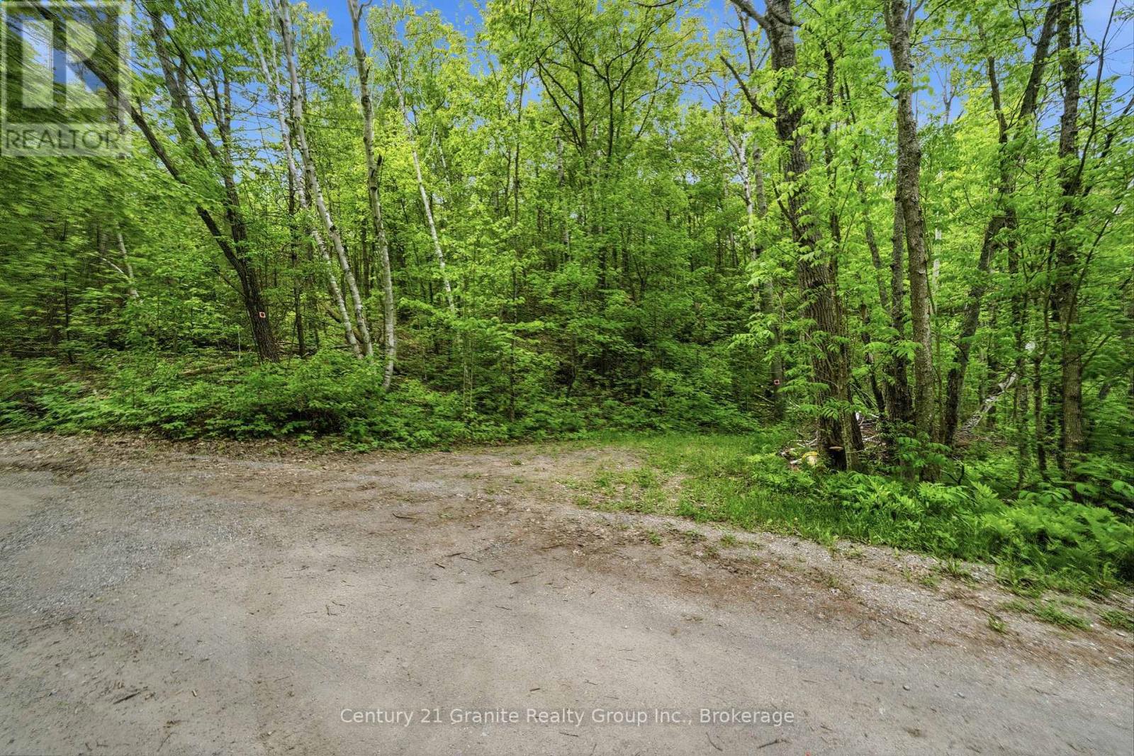 1427 Spar Lake Road Property Photo 14