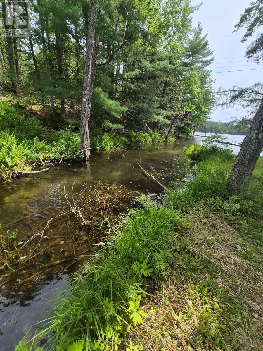 1427 Spar Lake Road Property Photo 18