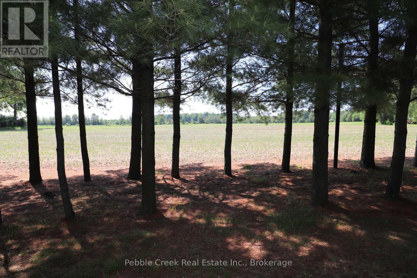 79927 Orchard Line Property Photo 45