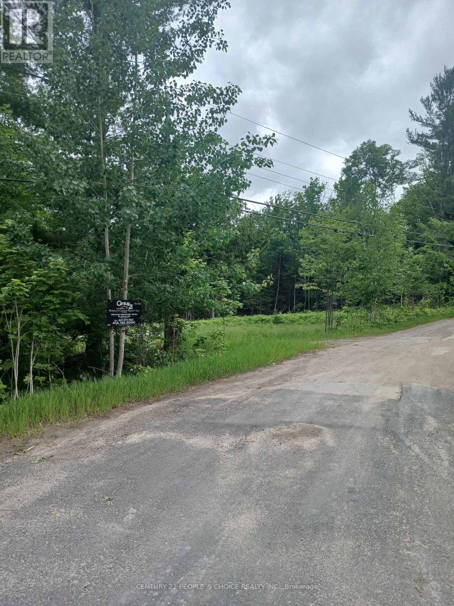 1005 Porkys Road Property Photo 2